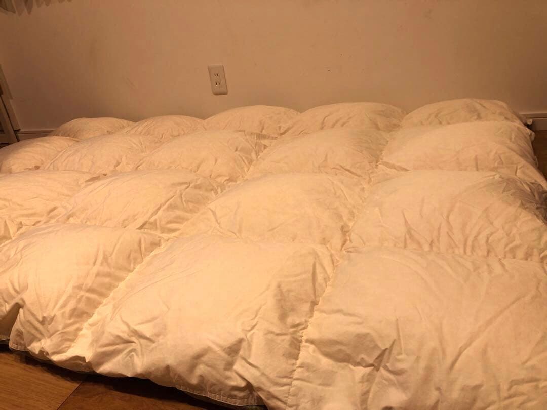 東京西川 ポーランドグースダウン90% クリーニング済 超長綿100% 1.4k