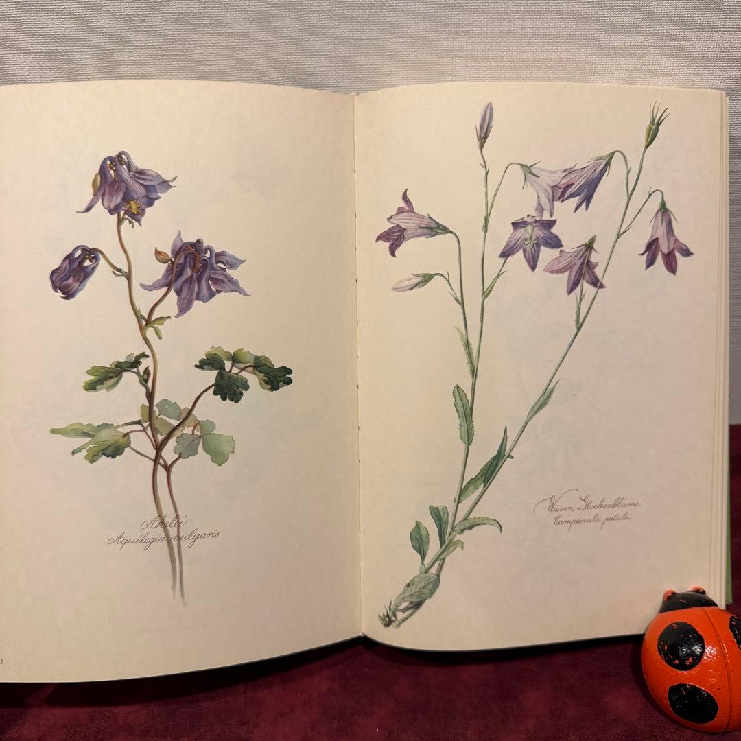 112⑤1963年ドイツElsa Flesko植物図鑑 ジャンクジャーナル