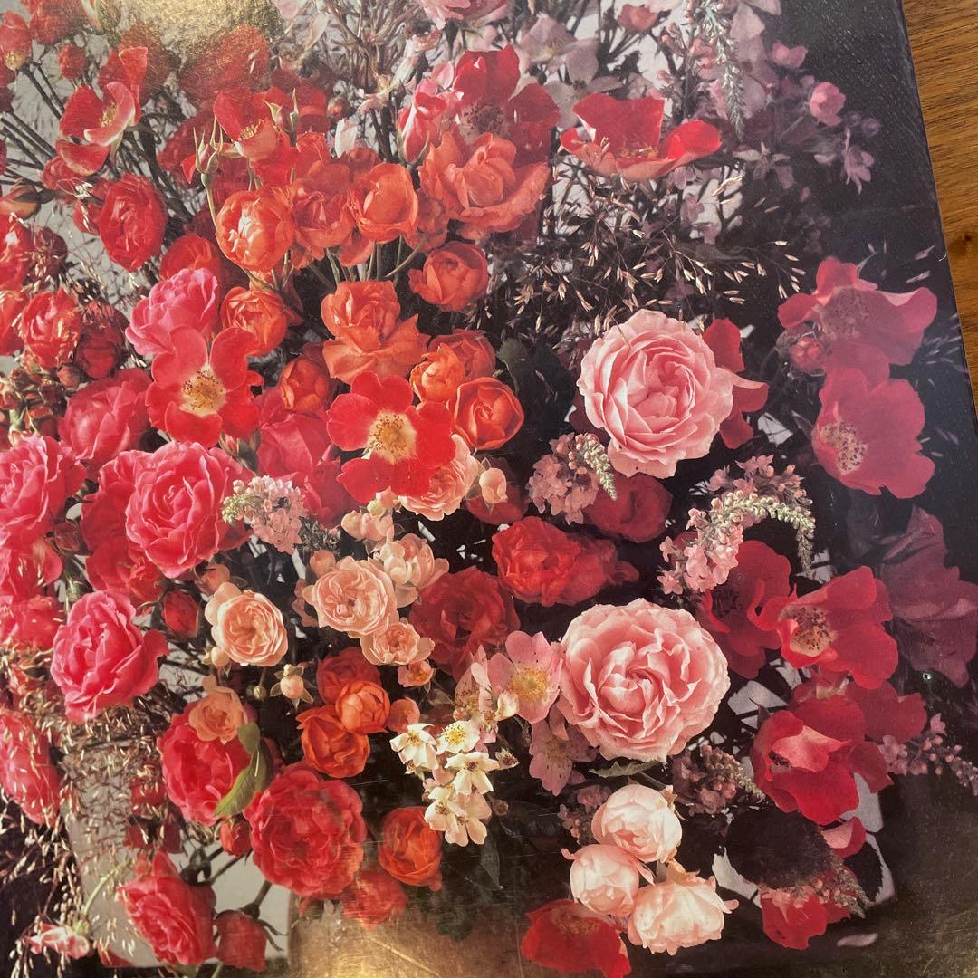 ジグソーパズル クリステル・ローゼンフェルド アフロディテ 未開封 2000P