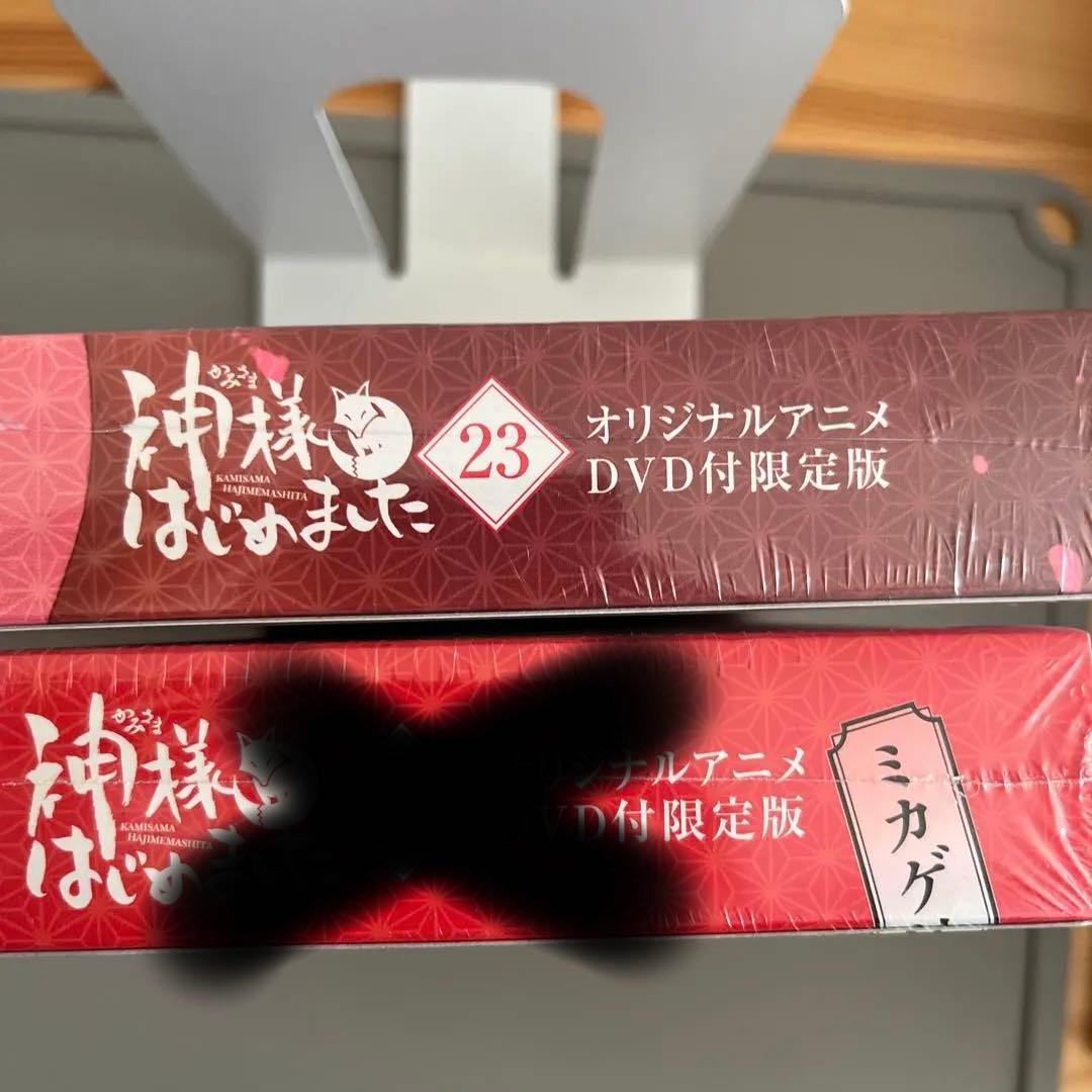 ちぃ《プロフィール必読》　神様はじめました　DVD付限定版 23巻