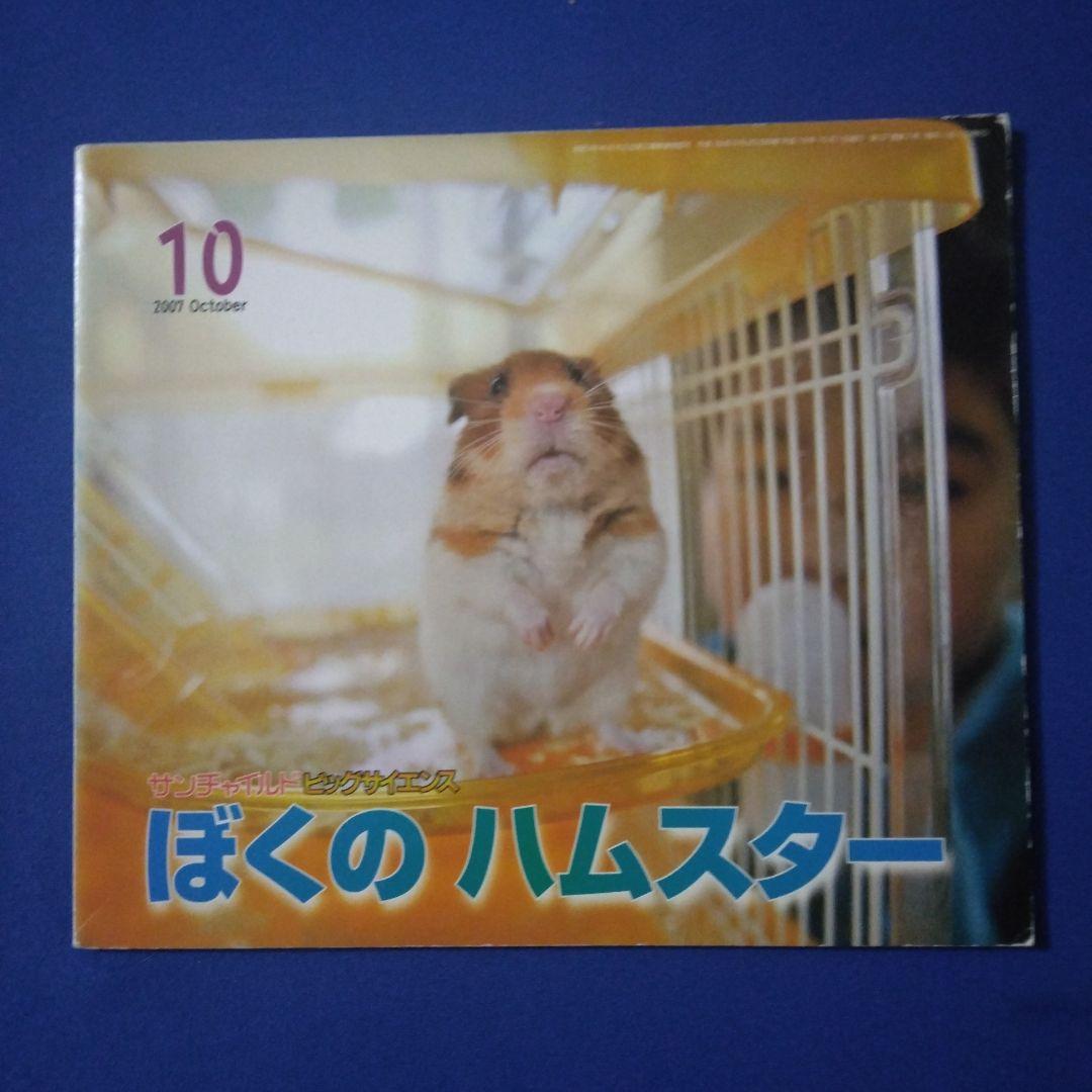 かがくのとも ビッグサイエンス キンダーブックしぜん ハムスターの