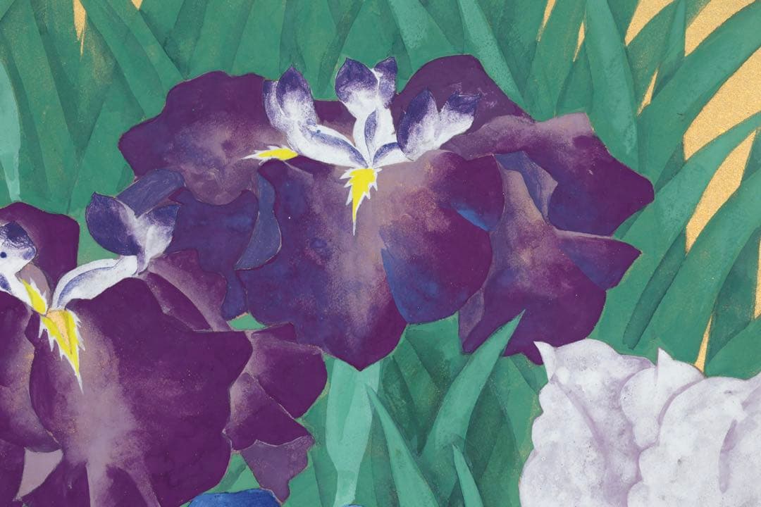 蒼波 日本画 作品「菖蒲」直筆サイン 落款 在銘 共シール 6号 額装