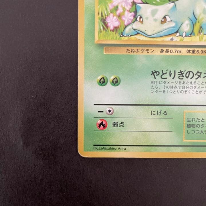 ポケモンカード 旧裏 フシギダネ 初版 マークなし プロモ レア No.1
