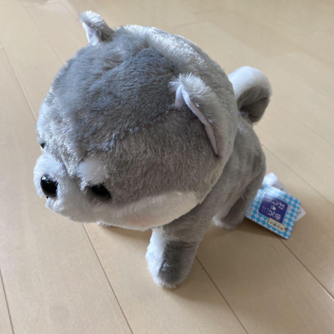 豆しば三兄弟 タイガ 大集合6 BIGぬいぐるみ - メルカリ