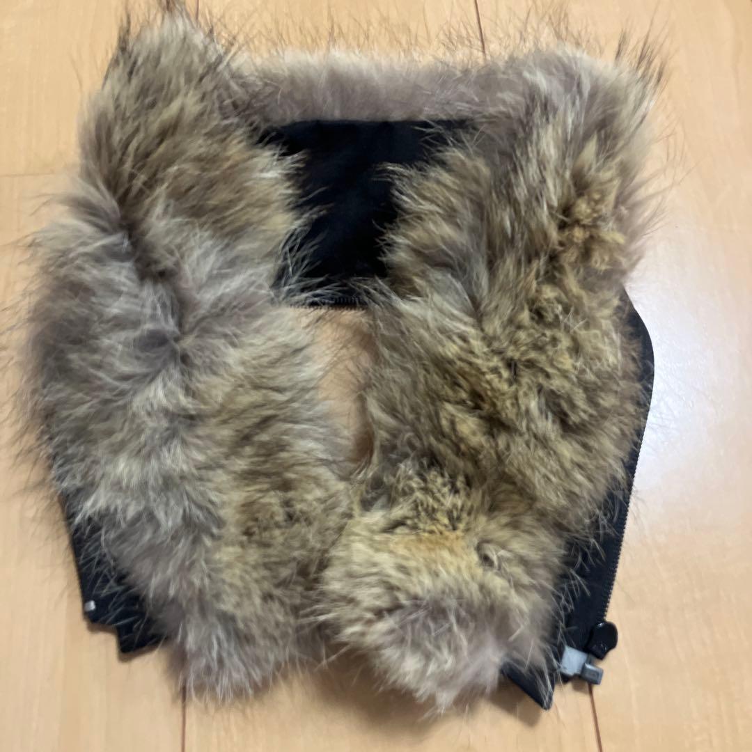 美品/希少】エディフィス別注 カナダグース クレストン XS