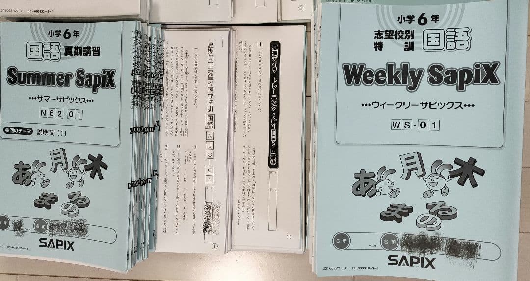 SAPIX6年国語テキストセット - メルカリ