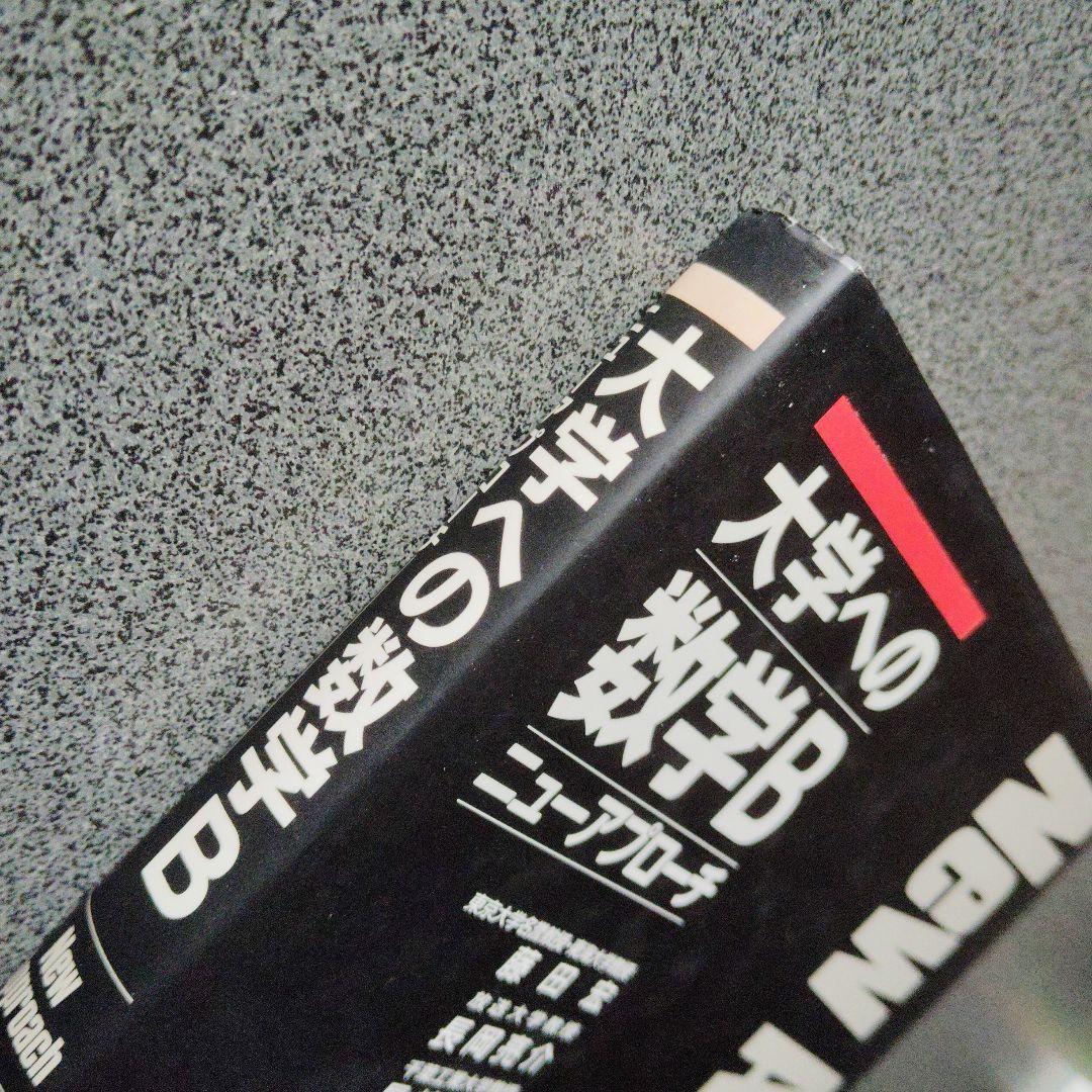 大学への数学Bニューアプローチ 2003年発行 研文書院 藤田宏 長岡亮介