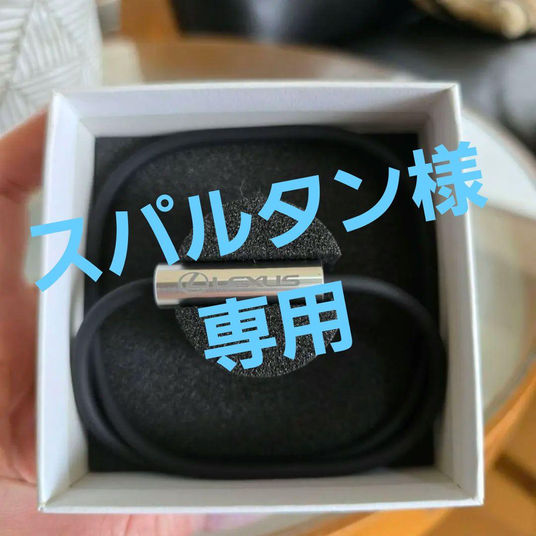 専用になります。Lexus SEVルーパー ハイパフォーマンスモデル48 SEVルーパー 3タイプ ハイパフォーマンスモデル 黒 レクサス SEV