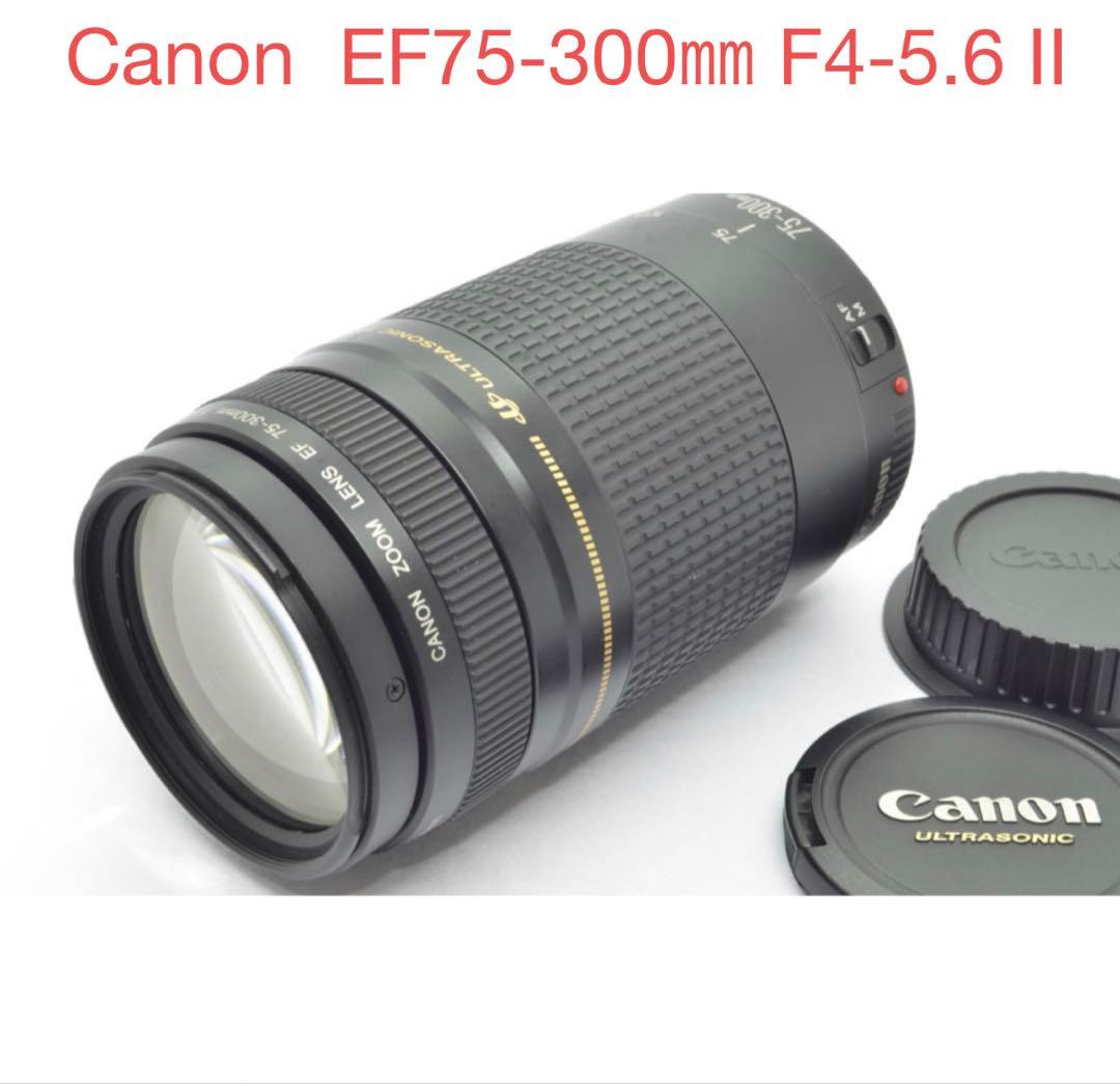 人気の望遠レンズ☆デジタル一眼レフカメラ☆Canon EF75-300㎜☆ EOS Kiss キヤノン Canon X7 EF 70-300mm 望遠 レンズセット 手振れ