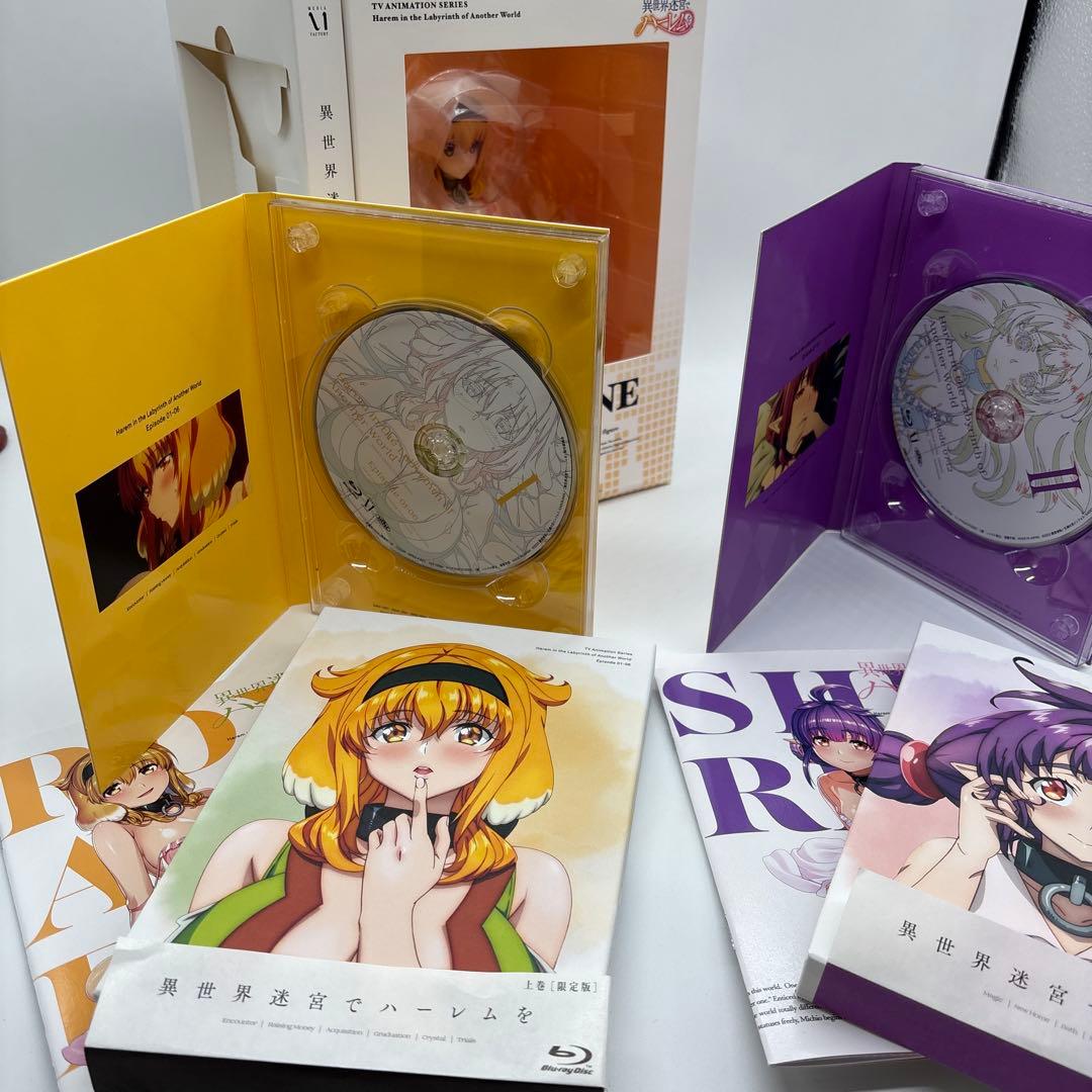 異世界迷宮でハーレムを Blu-rayBOX 上巻〈完全数量限定版〉&下巻セット