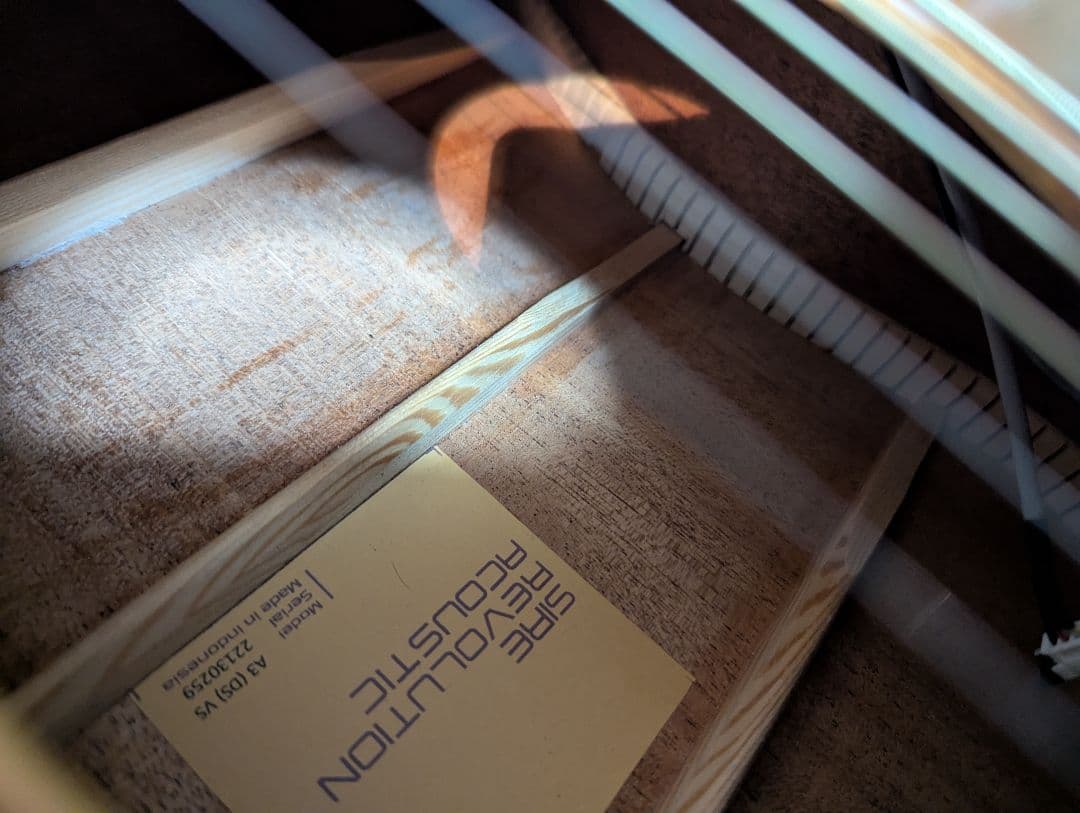 超美品Sire A3 DN VS（新品購入後1年以内）