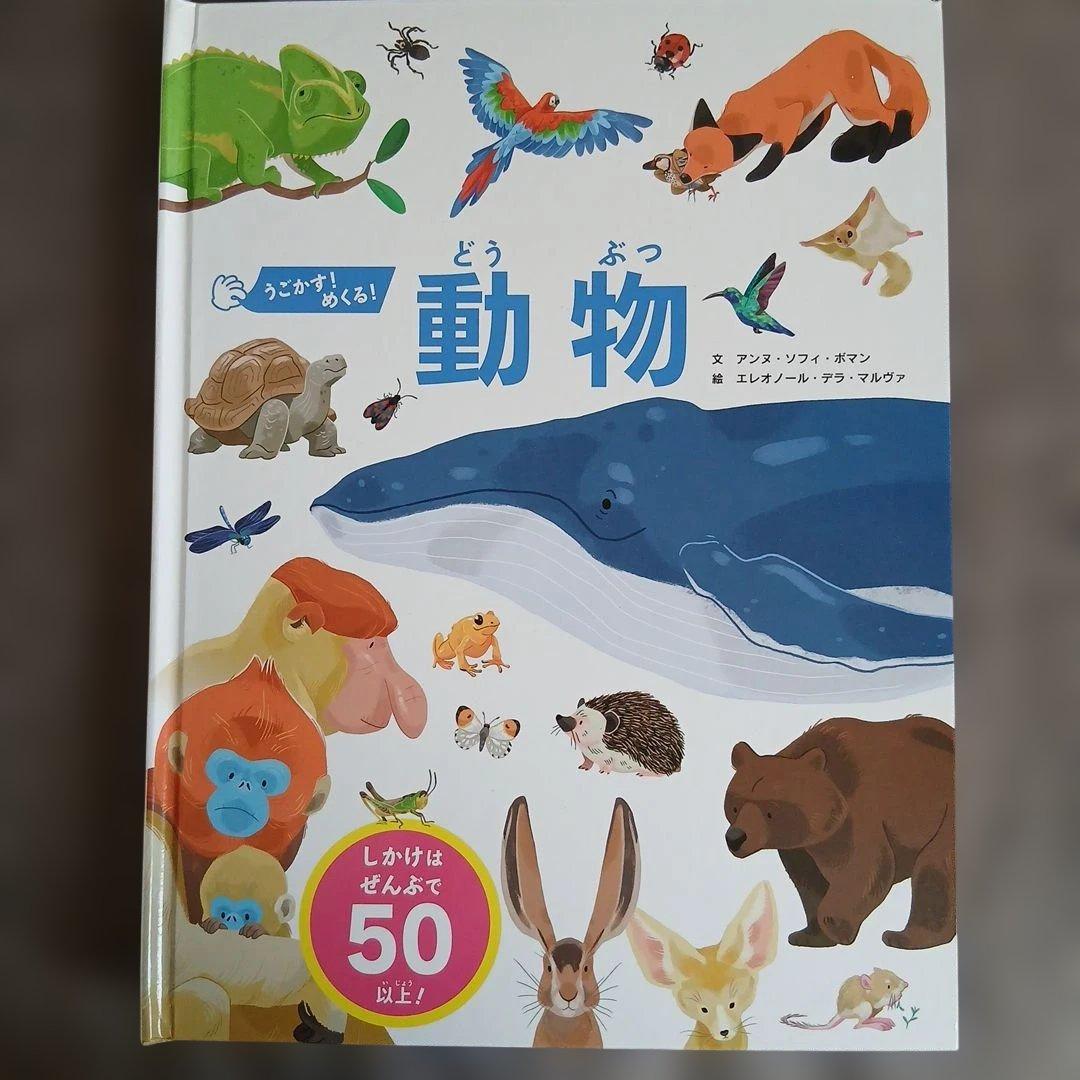 まとめ売り 絵本 仕掛け絵本 どうぶつ せかい地図 恐竜大行進 のりもの