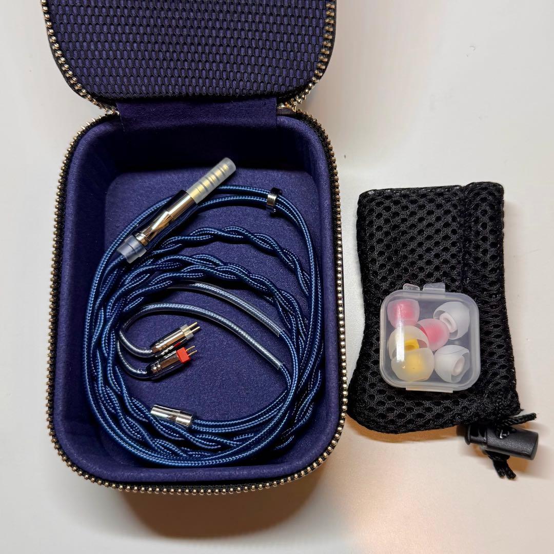 即日発送❗️最終値下❗【美品】 AüR Audio Hermit