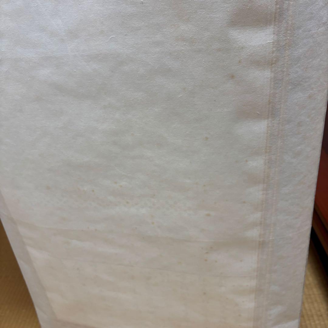 安城御影 掛け軸 親鸞聖人 木箱付き 送料無料 - メルカリ