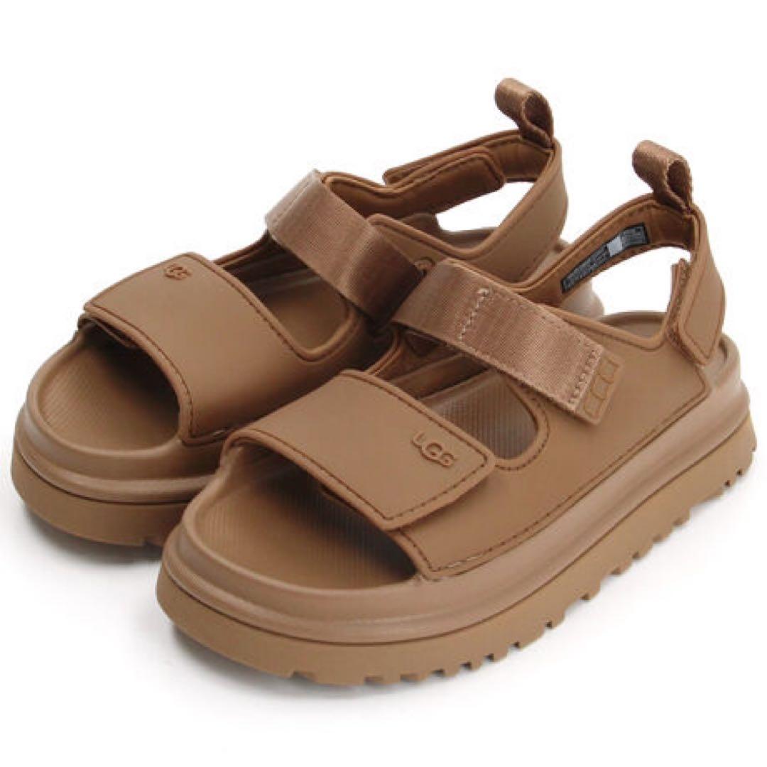 【19.5cm】UGG ゴールデングロウ