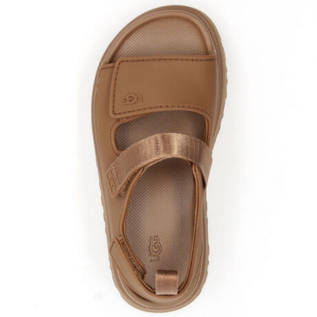 【19.5cm】UGG ゴールデングロウ