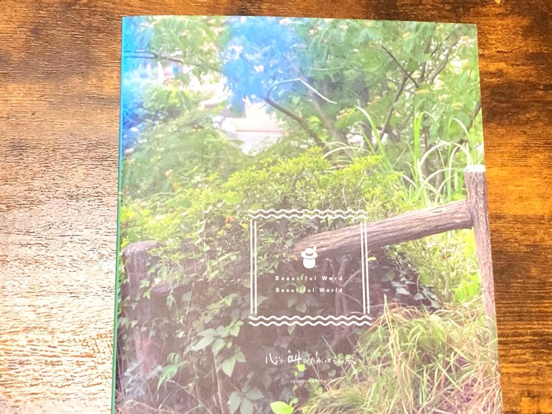 水瀬いのり フォトブックBeautiful World