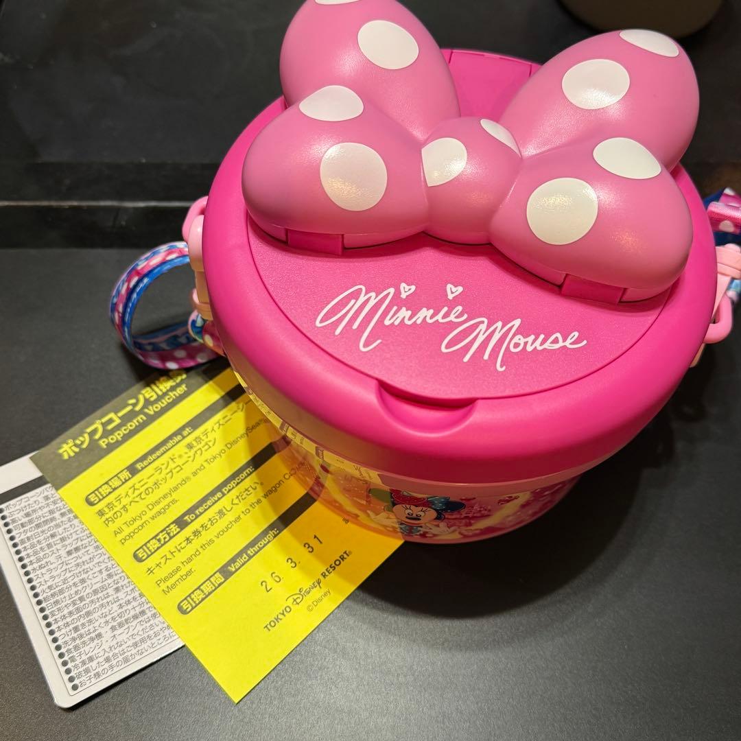 ディズニーランド パルパルーザ ミニー ファンダーランド ポップコーン