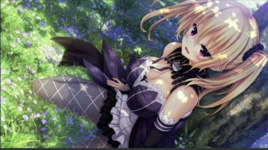 美品 ノラと皇女と野良猫ハートHD ＆美品 2 B2タペストリー同梱版セット