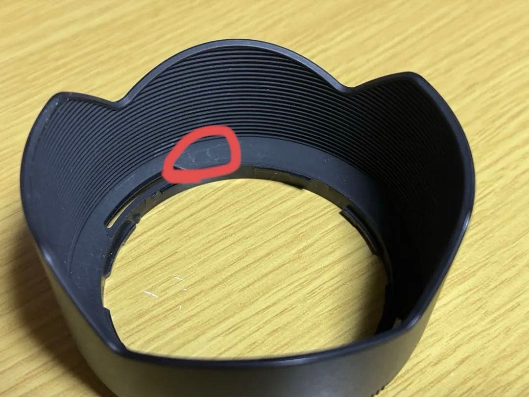 NIKKOR Z DX 50-250mm f/4.5-6.3 VR レンズ