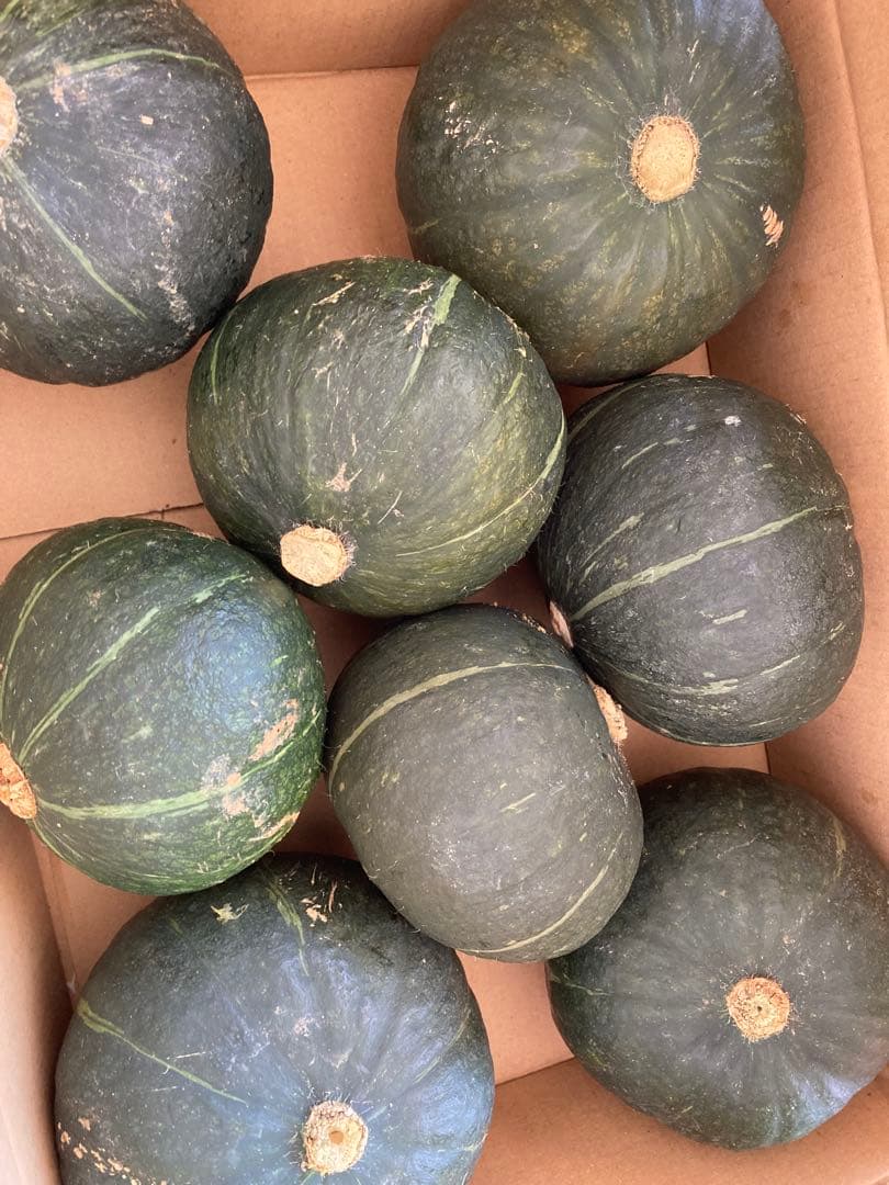 専用 ハッピー様】 カボチャ かぼちゃ 沖縄県 宮古島産 - メルカリ