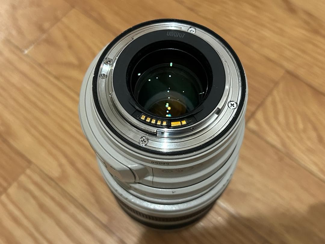 ジャンク館】キャノン EF 28-300mm F3.5-5.6 L IS USM