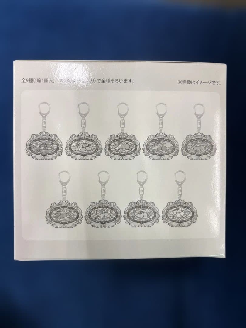 ポケパークカントー限定 イーブイズ アクリルキーホルダーフルコンプ