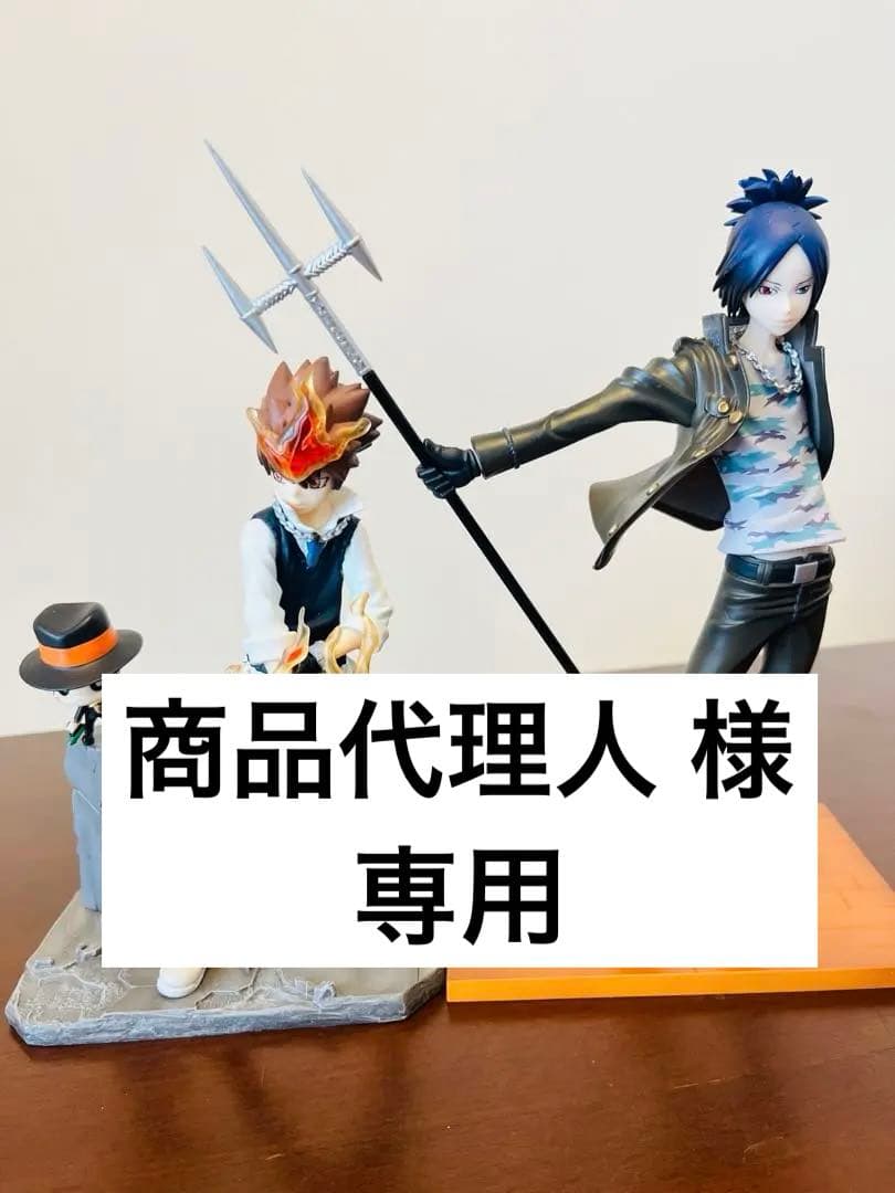 家庭教師ヒットマンREBORN! SRDX 六道骸 沢田綱吉 【欠品有り】 - メルカリ