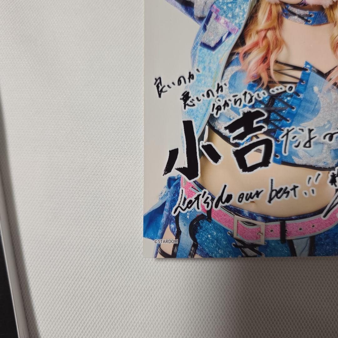 女子プロレス スターダムSTARDOM スター・ライト・キッド 2L - メルカリ