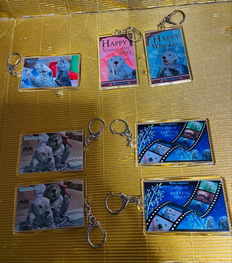 鳥羽水族館⭐️ラッコ⭐️キラ✖️メイ⭐️キーホルダー⭐️４種８個セット 鳥羽水族館⭐️ラッコ⭐️キラ✖️メイ⭐️キーホルダー⭐️4種8個セット