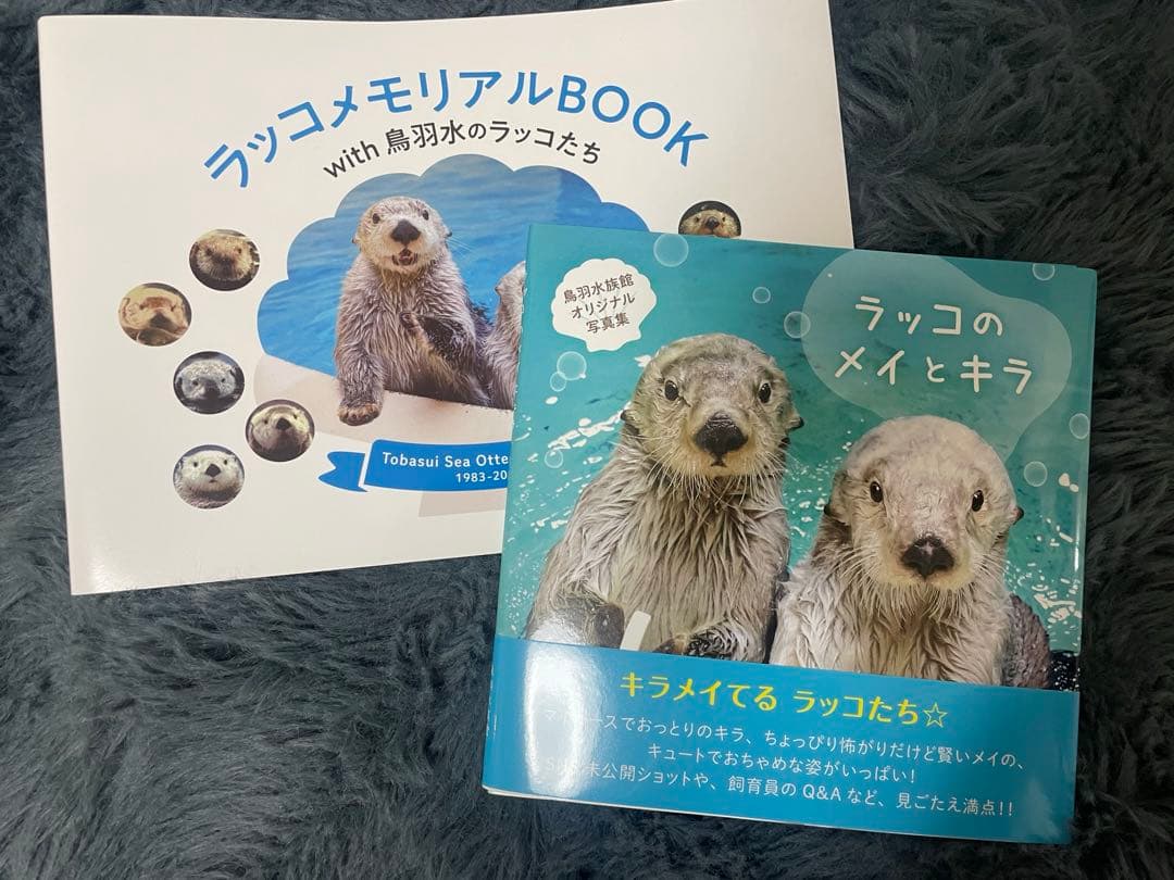 バラ売り可】慶應義塾大学 過去問（赤本）等