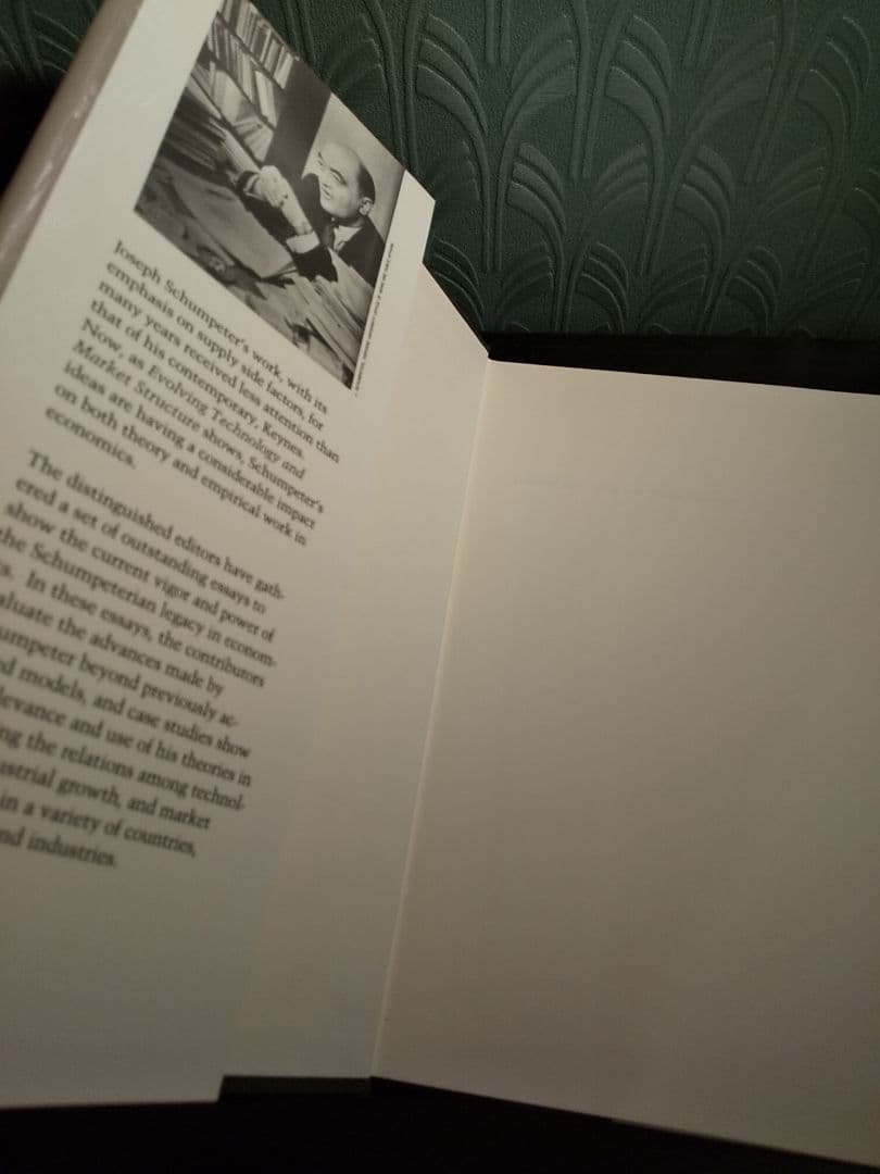 洋書〉ニホンザル ／編＝ 杉浦秀樹、中川尚文、中道正之