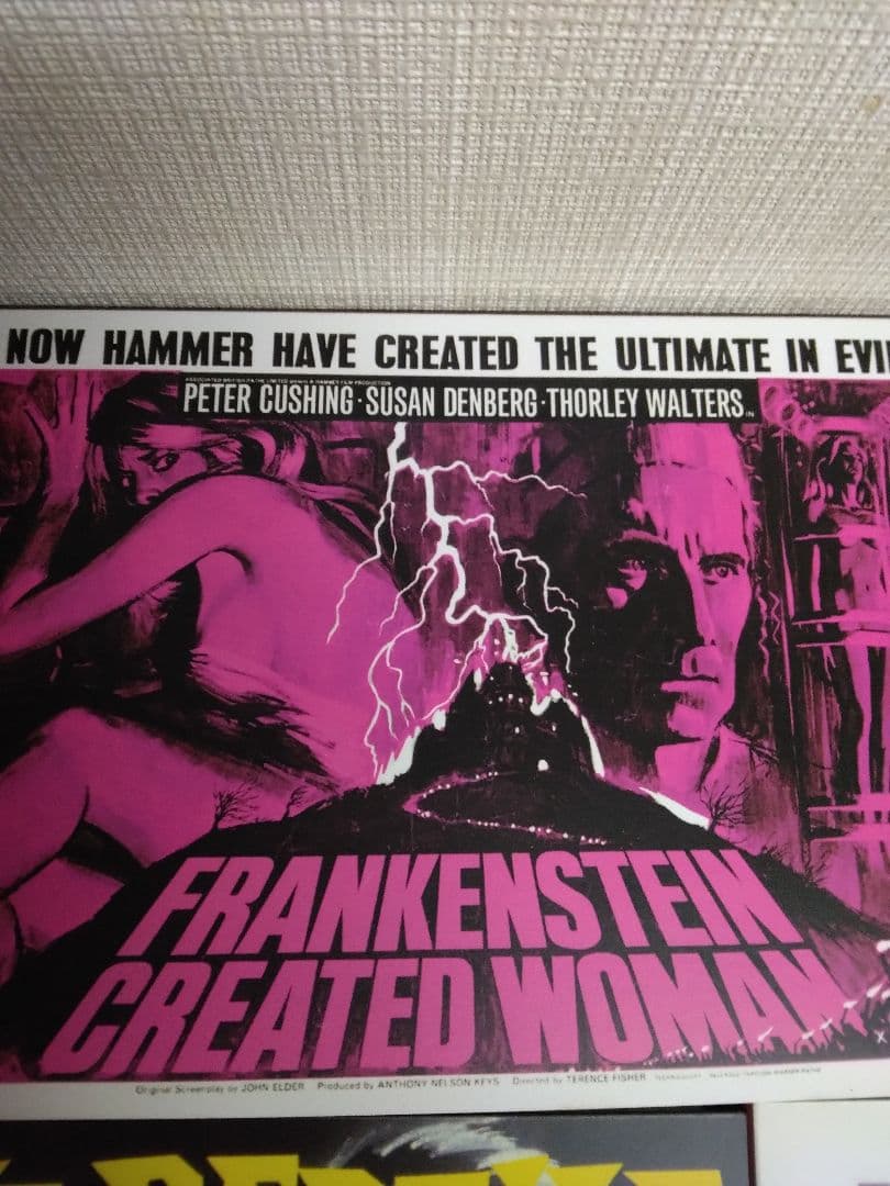 ハマー・フィルム怪奇コレクション　恐怖の美女編　廃盤稀少美品DVD国内セル正規品