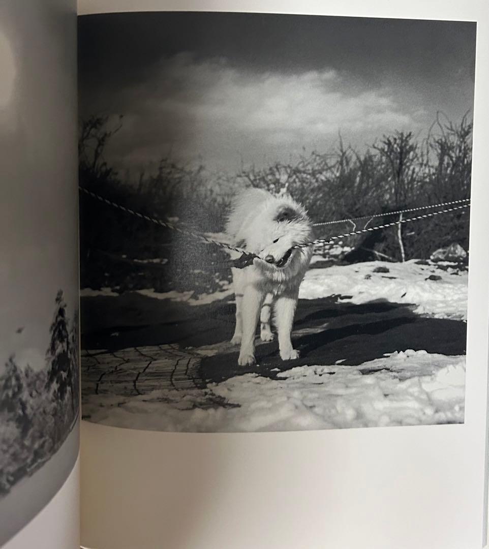 富谷昌子 Masako Tomiya 津軽 サイン入り - メルカリ