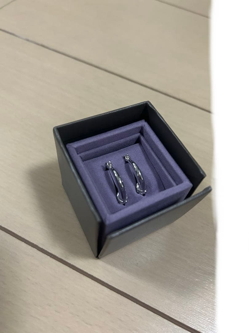 常田大希】Pointlessjourny EAR RING SILVER