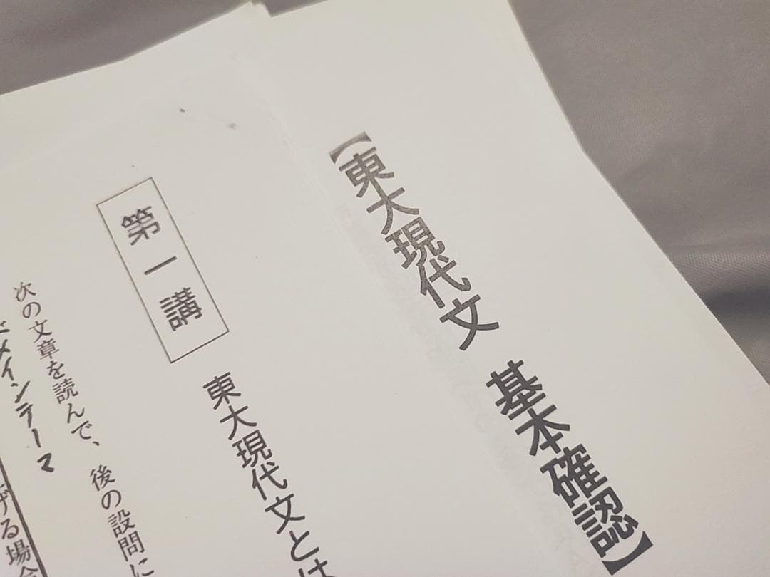 東進 東大特進 東大特進現代文 林修先生 23年 プリントフルセット 駿台