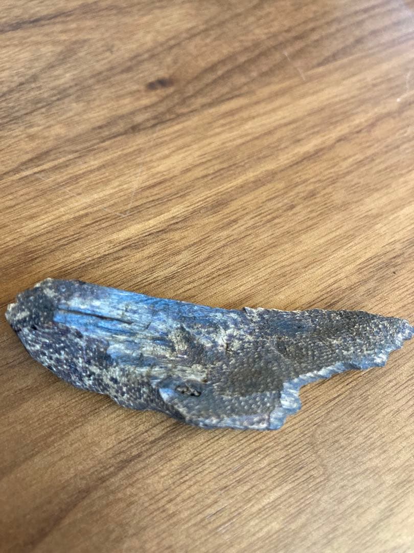 香木 沈香　シャム　5.1g