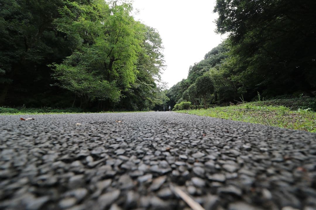 超広角レンズ Canon EF-S 10-18 f/4.5-5.6 IS STM