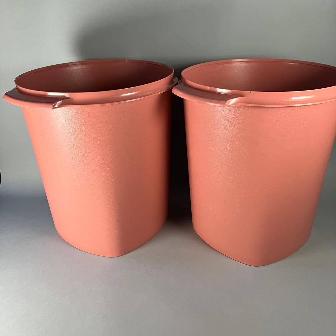 タッパーウェア マキシクイーンデコレーター(11000ml) 本体のみ2点