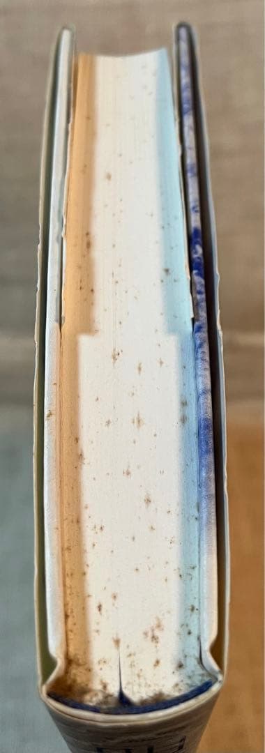 ラバージ　『明晰夢 : 夢見の技法』