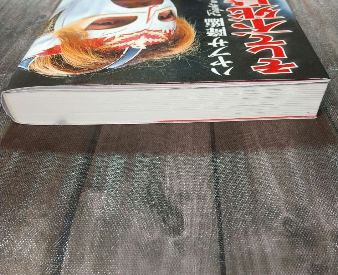 そして不死鳥はよみがえる ハヤブサ降臨