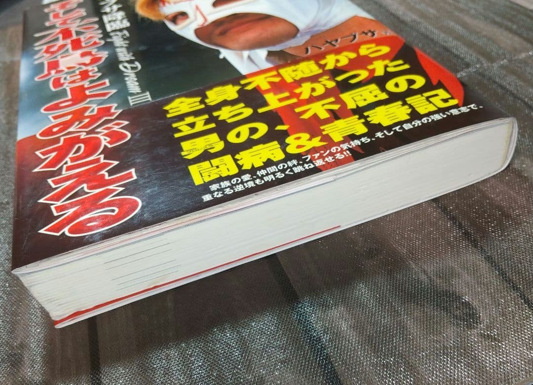 そして不死鳥はよみがえる ハヤブサ降臨
