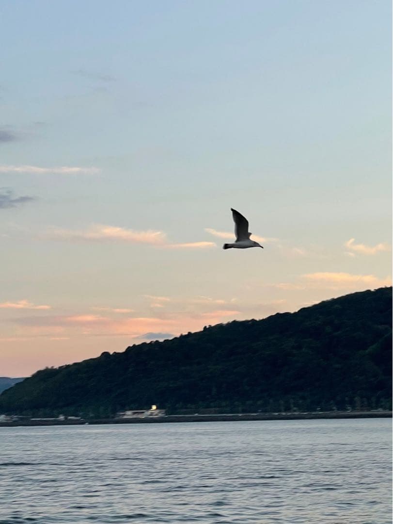 ＼(^o^)／849 ページ☽⋰