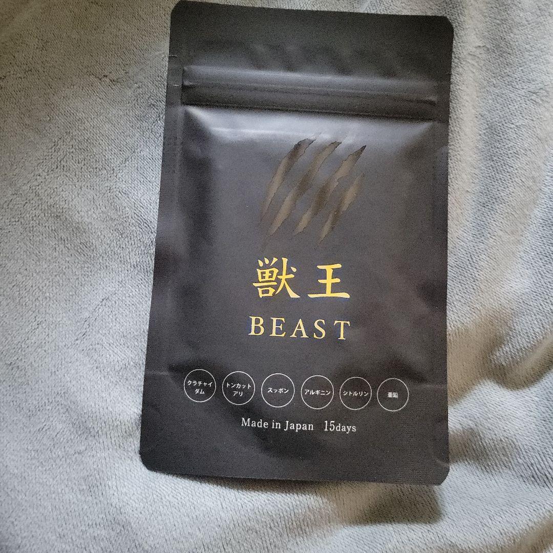 獣王BEAST 獣王ビースト 15日分 サプリメント - メルカリ