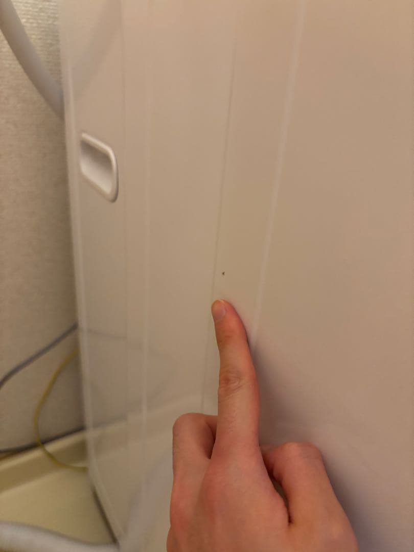 ハイセンス 洗濯機 5.5kg 一人暮らし カップル 新生活