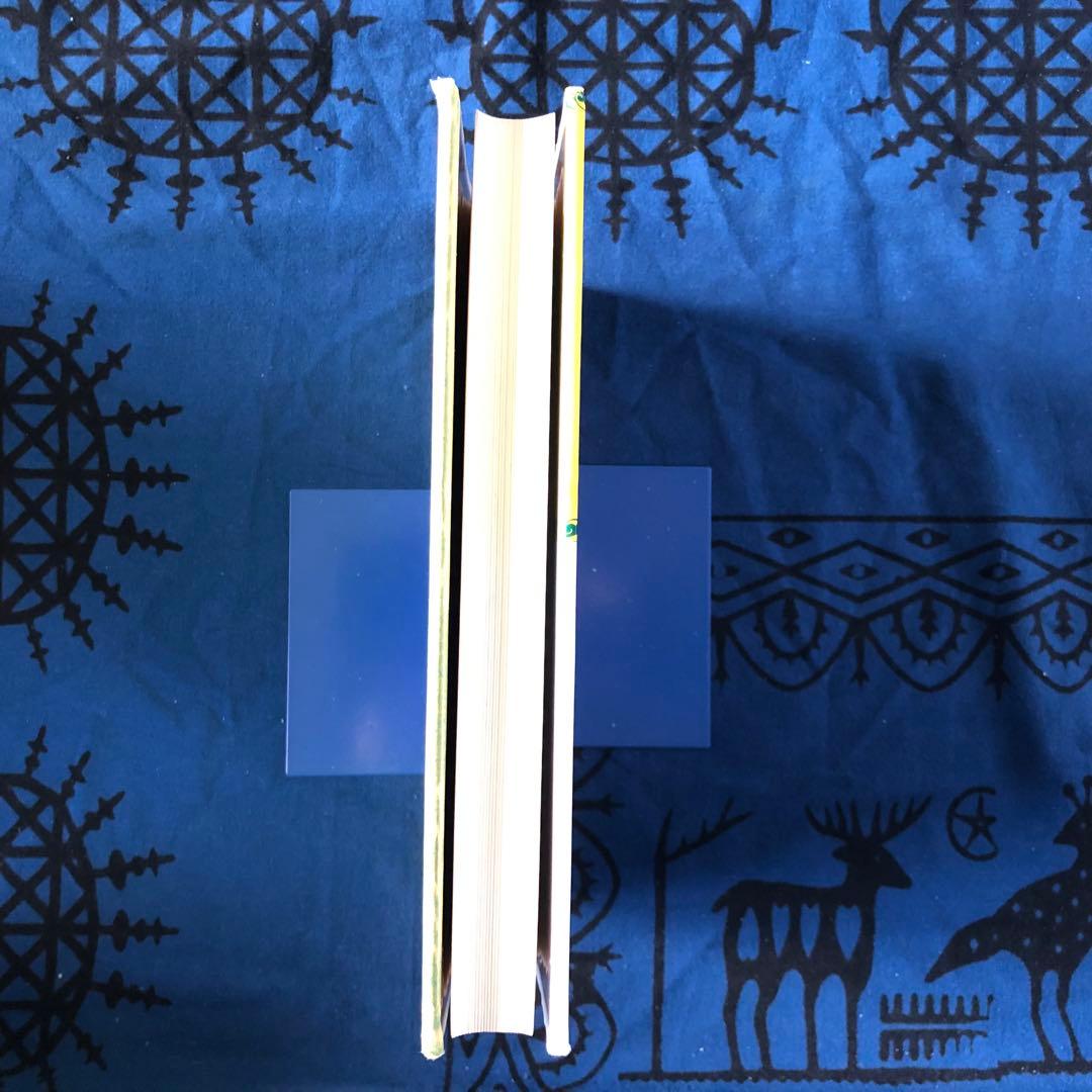 バリ島 ミゲル・コバルビアス