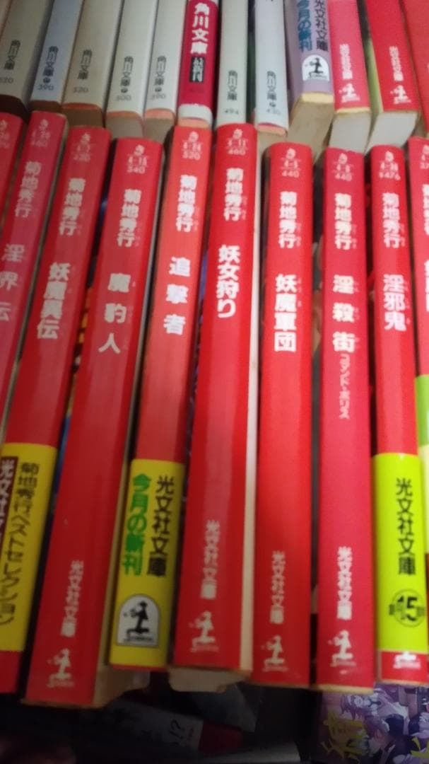 期間限定お値下げ！早い者勝ち！　菊池秀行さん　１１４冊セット