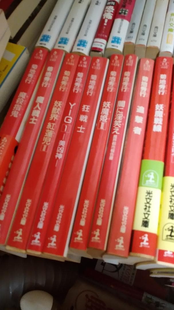 期間限定お値下げ！早い者勝ち！　菊池秀行さん　１１４冊セット