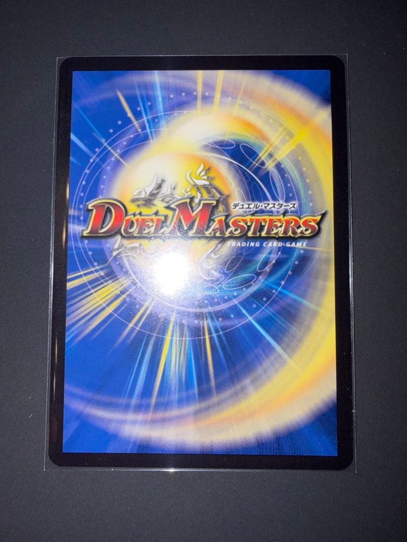 聖霊王の聖典（アルカディアスバイブル） シークレット シク - メルカリ