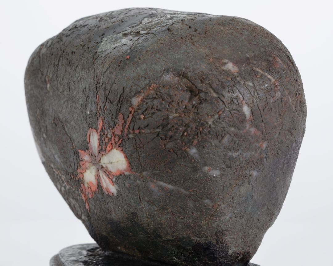 菊花石 菊紋石 1.1kg 台座・木箱付 鑑賞石 原石 水石 盆石 飾石 美石